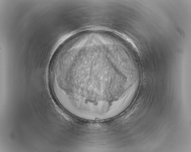 X0000115791231200912041506