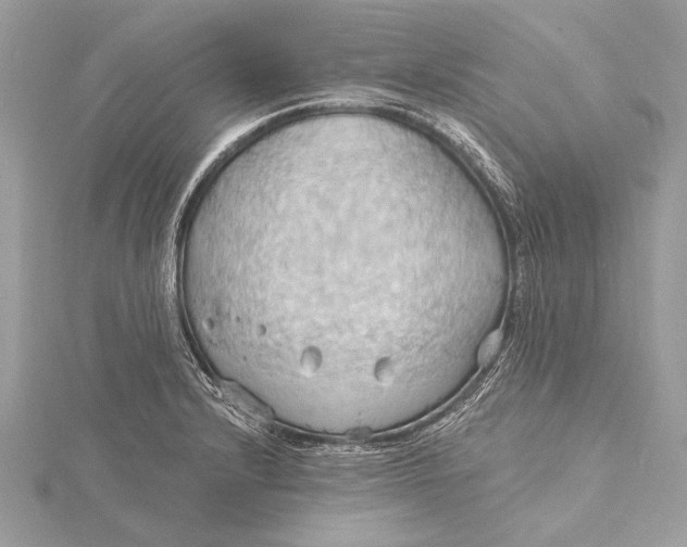 X0000115791232200912041506