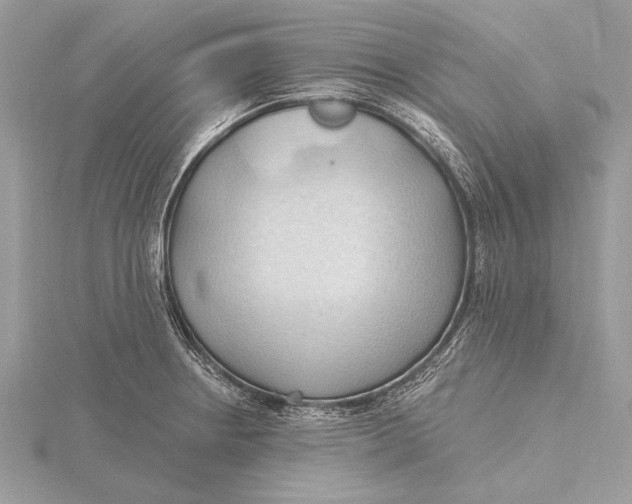 X0000115791234200912041506