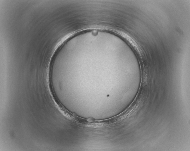 X0000115791237200912041506