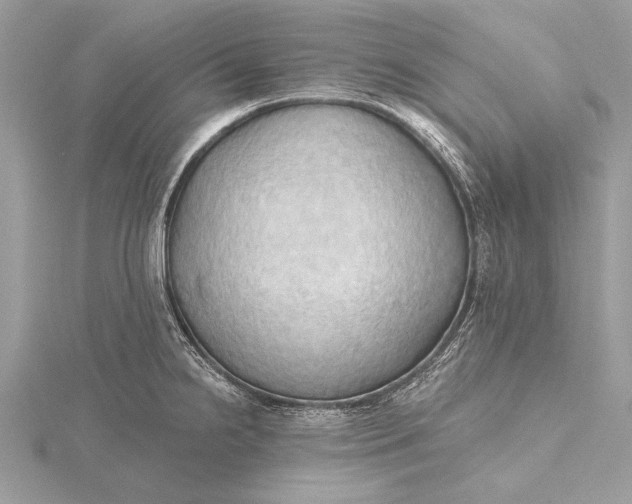 X0000115791238200912041506