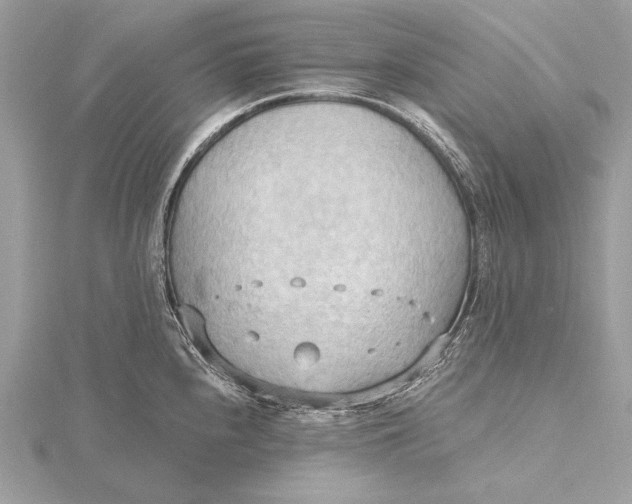 X0000115791240200912041506