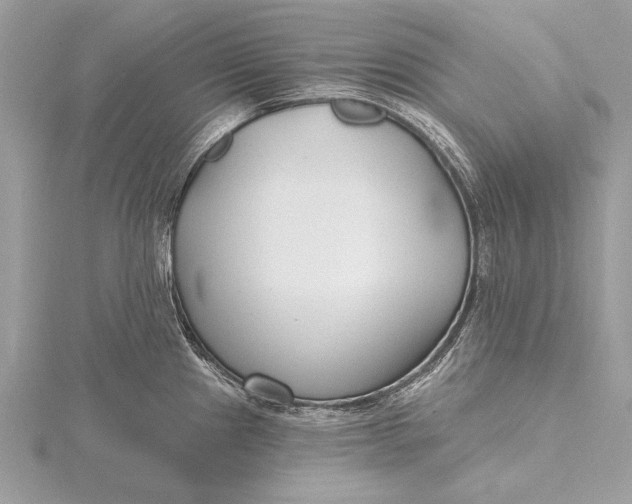 X0000115791241200912041506