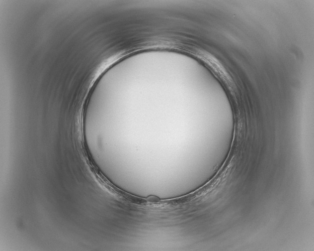 X0000115791242200912041506