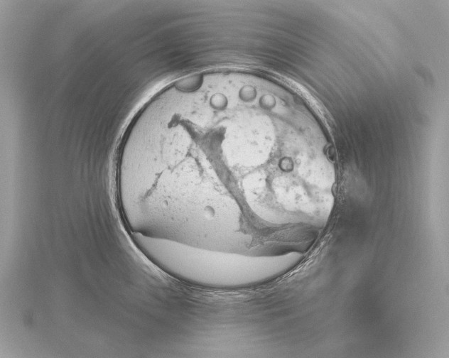 X0000115791243200912041506