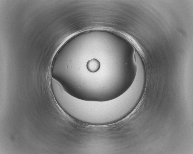 X0000115791244200912041506