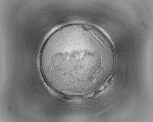 X0000115791245200912041506