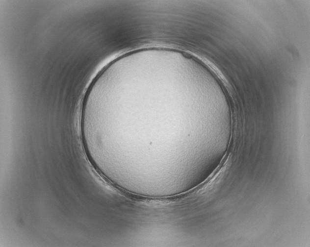 X0000115791246200912041506