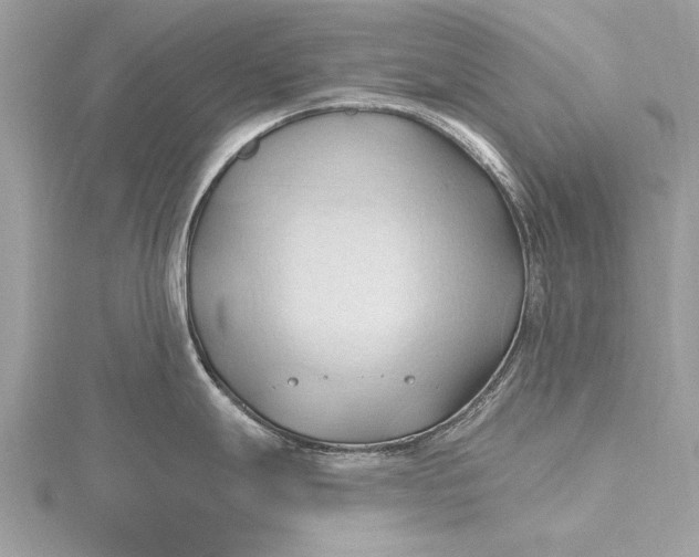 X0000115791247200912041506