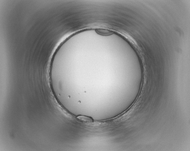 X0000115791248200912041506