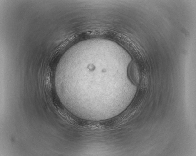 X0000115791250200912041505