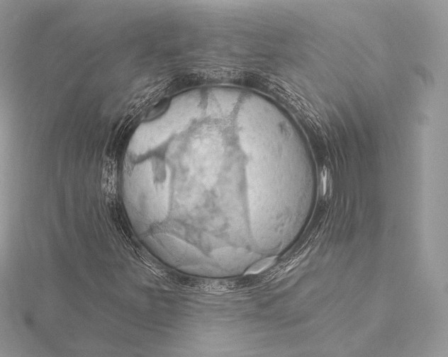 X0000115791251200912041505