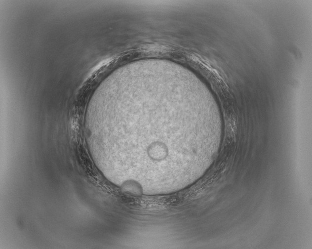 X0000115791254200912041505