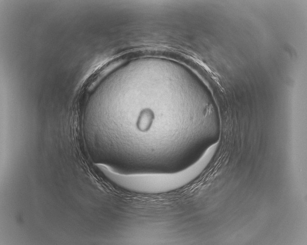 X0000115791255200912041505