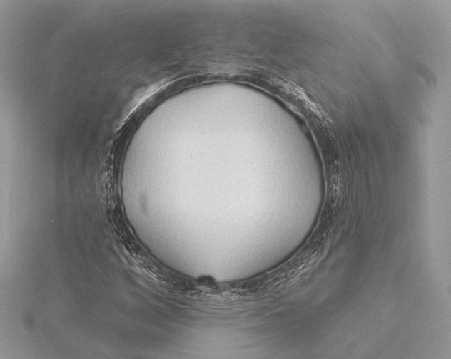 X0000115791256200912041505