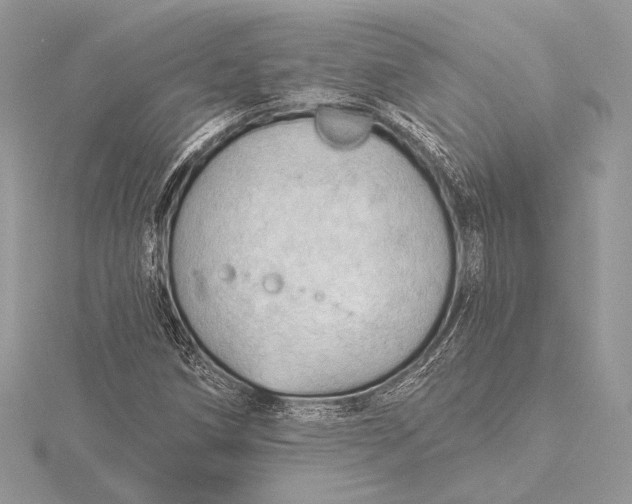 X0000115791258200912041505