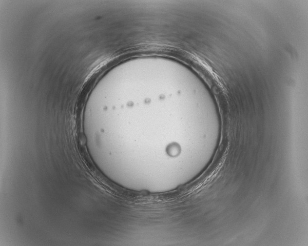 X0000115791259200912041505