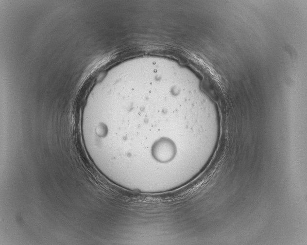 X0000115791261200912041505