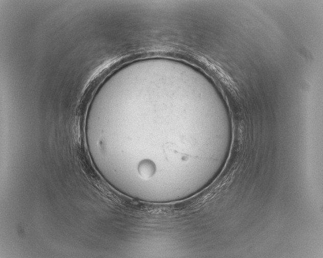 X0000115791262200912041505