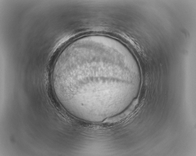 X0000115791263200912041505