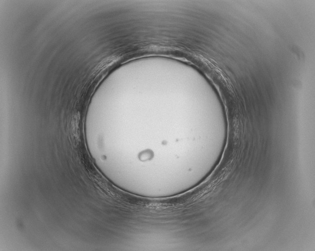 X0000115791265200912041505