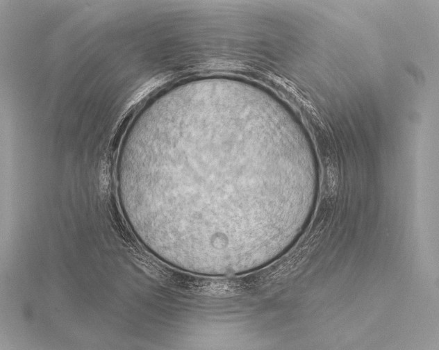 X0000115791266200912041505