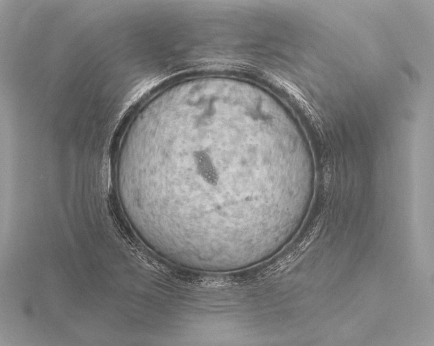 X0000115791267200912041505