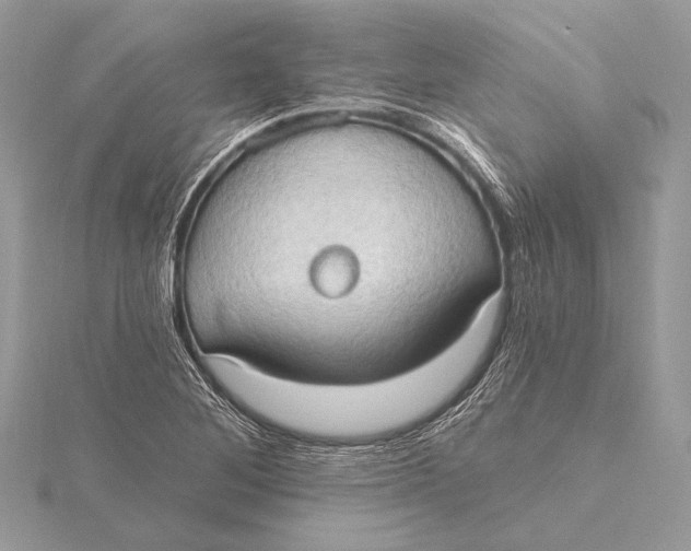 X0000115791268200912041505