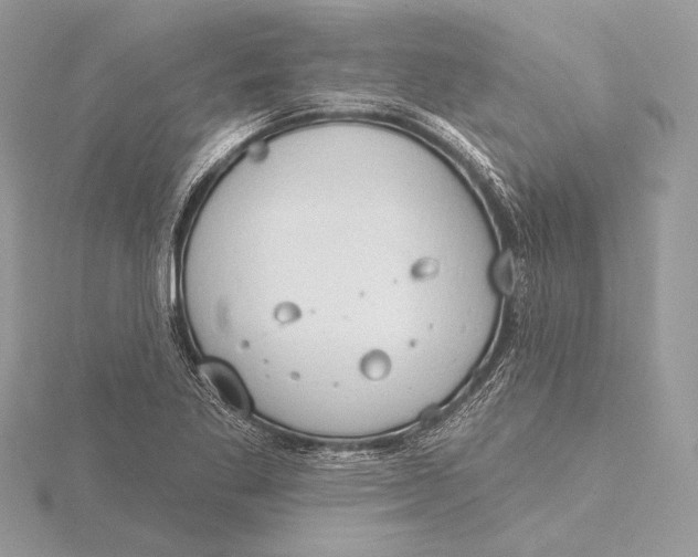 X0000115791269200912041505