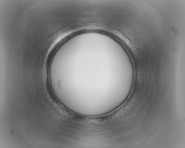 X0000115791270200912041505