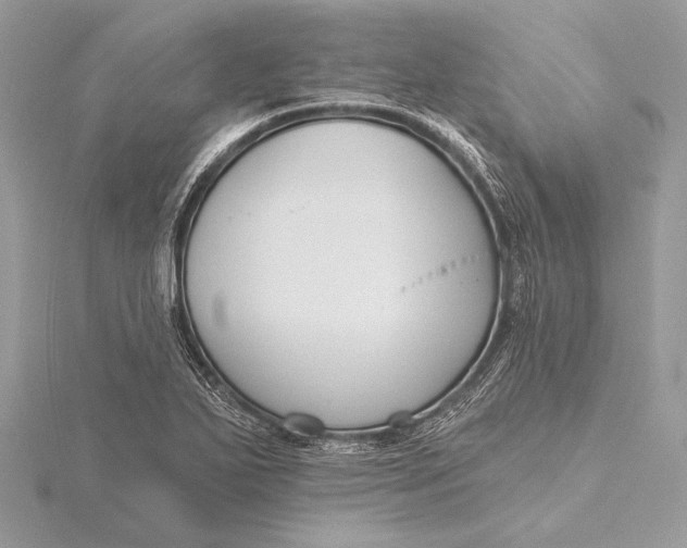 X0000115791271200912041505