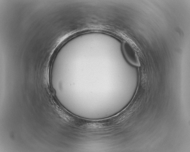 X0000115791272200912041505