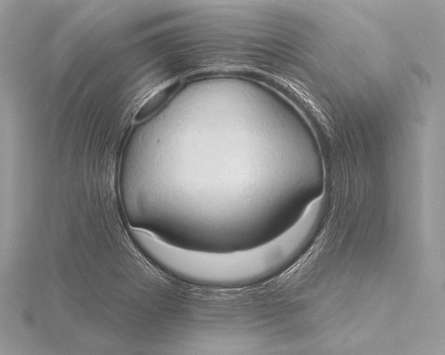 X0000115791273200912041505