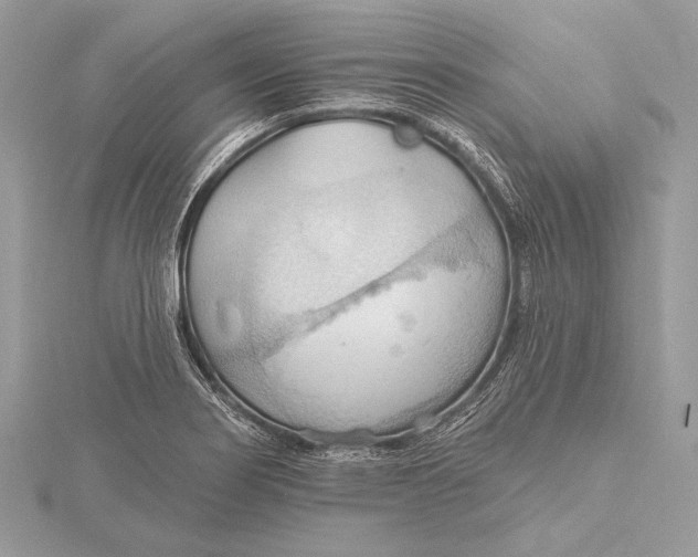 X0000115791274200912041505