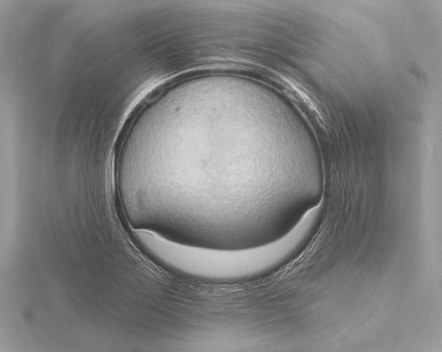 X0000115791275200912041505