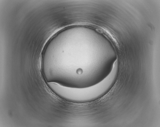 X0000115791276200912041505