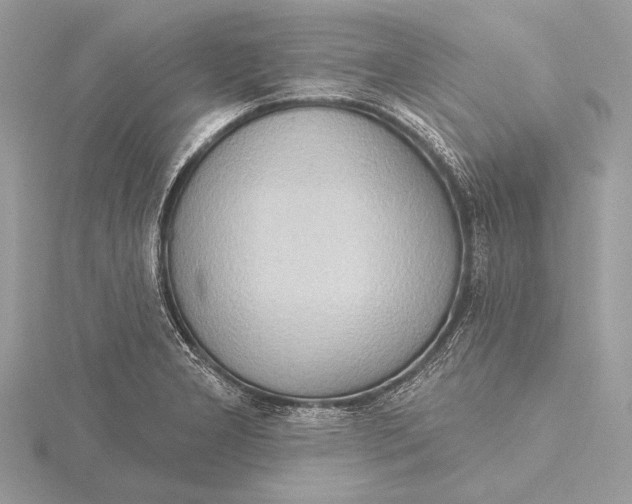 X0000115791277200912041505