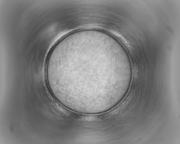 X0000115791278200912041505