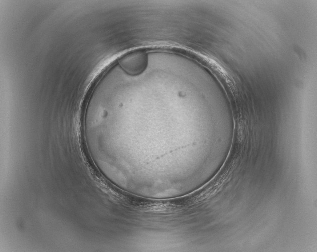 X0000115791279200912041505