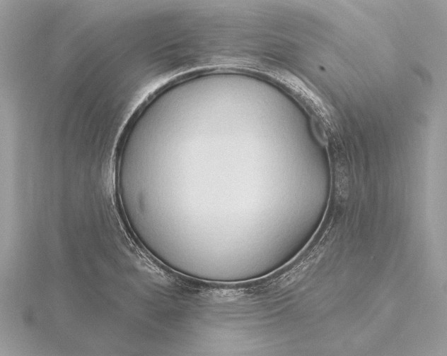 X0000115791280200912041505