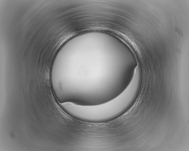 X0000115791281200912041505