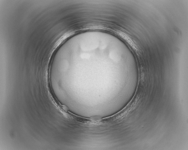 X0000115791282200912041505