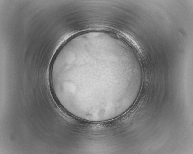 X0000115791283200912041505