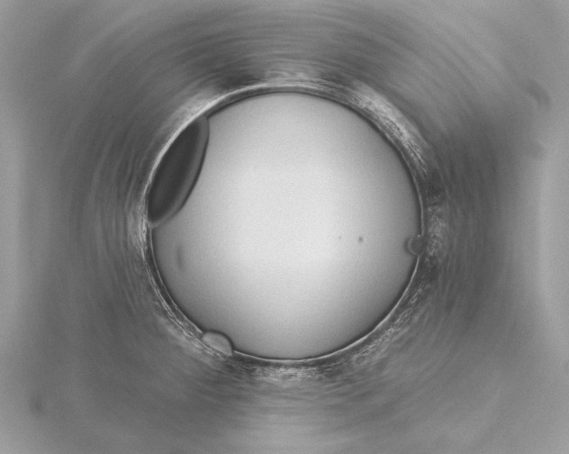 X0000115791284200912041505