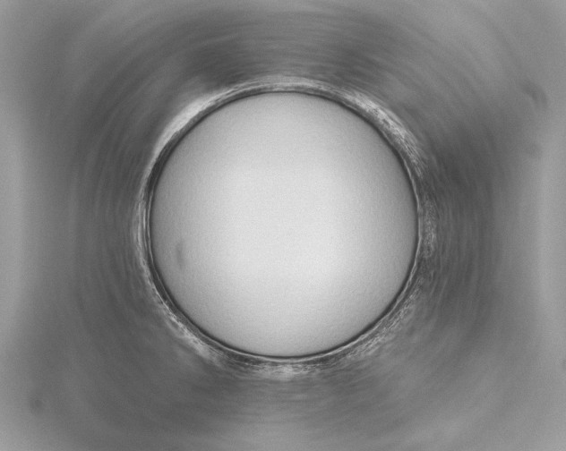 X0000115791286200912041505