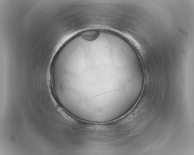 X0000115791287200912041505