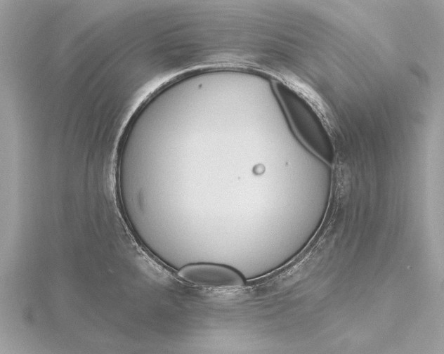 X0000115791288200912041505