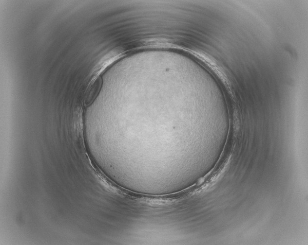 X0000115791289200912041505