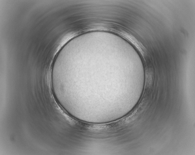 X0000115791290200912041505