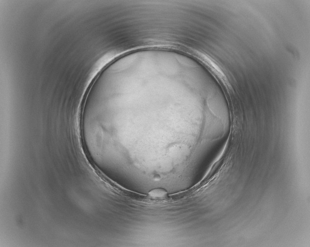 X0000115791291200912041505